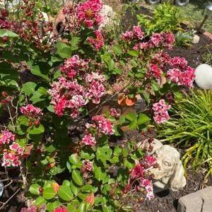 Meet your Posher, Janet